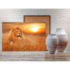 Quadro Decorativo Grande Animal Lion - 150x80cm
