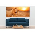 Quadro Decorativo Grande Animal Lion - 150x80cm