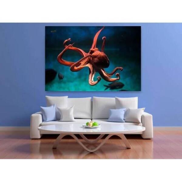 Quadro Decorativo Grande Animal Octopus - 150x100cm