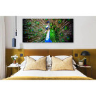 Quadro Decorativo Grande Animal Peacock - 200x120cm