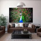 Quadro Decorativo Grande Animal Peacock - 200x120cm