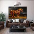 Quadro Decorativo Grande Animal Potro - 120x80cm
