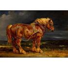 Quadro Decorativo Grande Animal Potro - 150x80cm