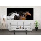 Quadro Decorativo Grande Animal Raças - 150x100cm