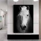 Quadro Decorativo Grande Animal White Horse - 100x70cm