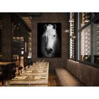 Quadro Decorativo Grande Animal White Horse - 100x70cm
