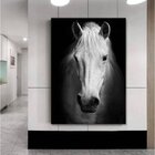 Quadro Decorativo Grande Animal White Horse - 150x100cm