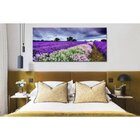 Quadro Decorativo Grande Floral Paisagem Campo De Lavanda - 1