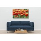 Quadro Decorativo Grande Floral Tulipa Sprengeri - 100x70cm
