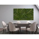 Quadro Decorativo Grande Vegetação Costela De Adão 003 - 150x