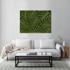 Quadro Decorativo Grande Vegetação Costela De Adão 003 - 150x