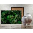 Quadro Decorativo Grande Vegetação Dark Leaves - 200x120cm