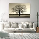 Quadro Decorativo Horizontal Arvore Galhos Secos Sem Moldura