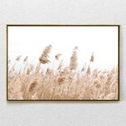 Quadro Decorativo Horizontal Capim Rabo De Raposa Com Moldura