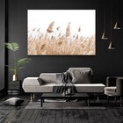 Quadro Decorativo Horizontal Capim Rabo De Raposa Sem Moldura