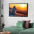 Quadro Decorativo Husky Albino Sol  - 50x70cm Moldura Branca