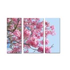 Quadro Decorativo Ipê Rosa 3 Peças Tela