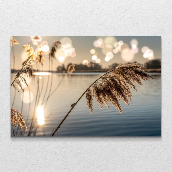 Quadro Decorativo Junco No Lago Ao Amanhacer Sem Moldura E Se