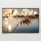 Quadro Decorativo Juncos No Lago Ao Amanhecer Com Moldura E S