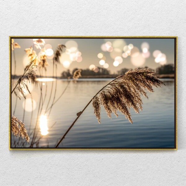 Quadro Decorativo Juncos No Lago Ao Amanhecer Com Moldura E S
