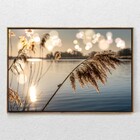 Quadro Decorativo Juncos No Lago Ao Amanhecer Com Moldura E S