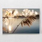 Quadro Decorativo Juncos No Lago Ao Amanhecer Com Moldura E S