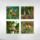 Quadro Decorativo Kit 4 Peças Pássaros