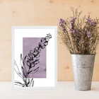 Quadro Decorativo Lavanda - Moderno 45x34cm - Com Vidro Moldu