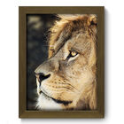 Quadro Decorativo - Leão - 19cm X 25cm - 077qdsm