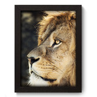 Quadro Decorativo - Leão - 19cm X 25cm - 077qdsp