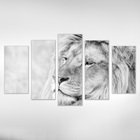 Quadro Decorativo Leão Albino Varias Peças Para Salão