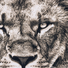 Quadro Decorativo sem Vidro de Moldura MDF Leão Basic Preto e Branco 90x60cm