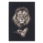 Quadro Decorativo sem Vidro de Moldura MDF Leão Basic Preto e Branco 90x60cm
