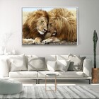 Quadro Decorativo Leão Carinhoso Com Moldura E Sem Vidro 40x60