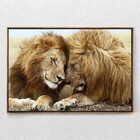 Quadro Decorativo Leão Carinhoso Com Moldura E Sem Vidro 40x60