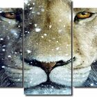 Quadro Decorativo Leão Com Olhar 5 Peças