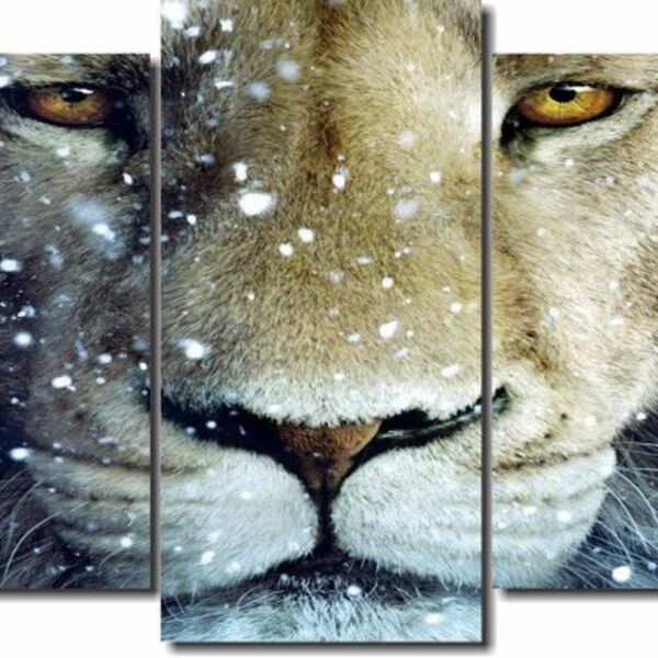 Quadro Decorativo Leão Com Olhar 5 Peças