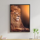 Quadro Decorativo Leão Fotografia 45x34cm A3 (45 X 34)