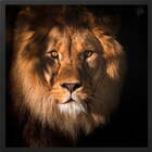 Quadro Decorativo Leão Ii Moldura Sem Vidro Preto