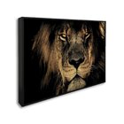 Quadro Decorativo Leão Imponente Com 1 Tela Cm Ou Cm De Pared