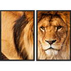 Quadro Decorativo Leão Iv Moldura Sem Vidro Preto