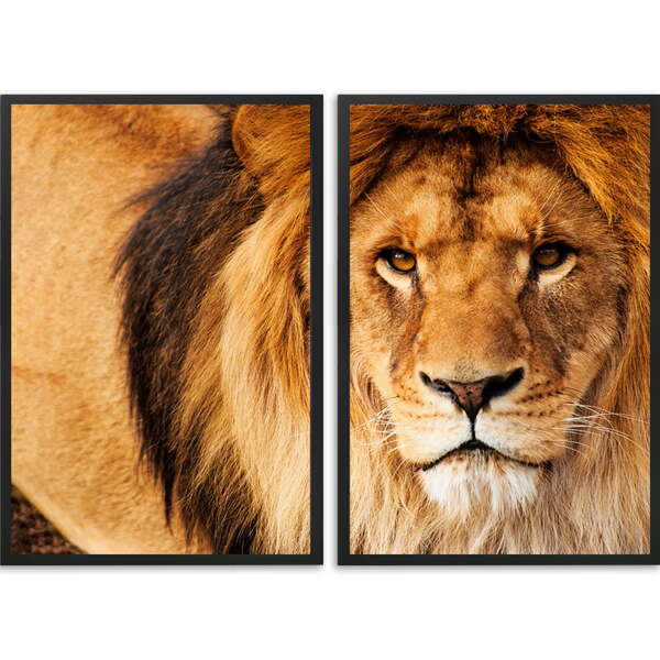 Quadro Decorativo Leão Iv Moldura Sem Vidro Preto