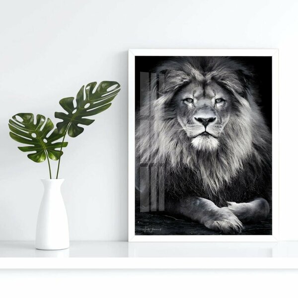 Quadro Decorativo Leão King 003 Moldura Em Madeira Com Vidro