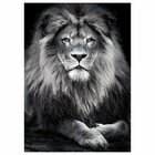 Quadro Decorativo Leão King 003 Moldura Em Madeira Com Vidro