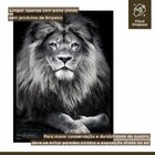 Quadro Decorativo Leão King 003 Moldura Em Madeira Com Vidro