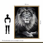 Quadro Decorativo Leão King 003 Moldura Em Madeira Com Vidro