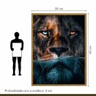 Quadro Decorativo Leão Predador 002 Moldura Em Madeira 30x42cm
