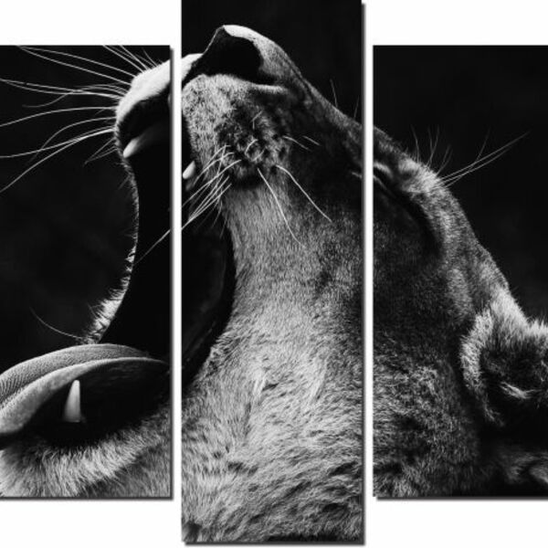 Quadro Decorativo Leão Preto No Branco 5 Peças