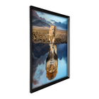 Quadro Decorativo Leão Reflexo 60x90cm Preto