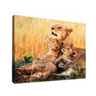 Quadro Decorativo Leoa Rainha
